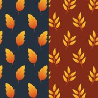 hojas de otoño y conjunto de fondo de patrón de follaje vector