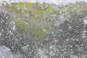 Moss on stone surface photo