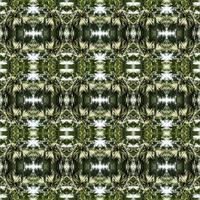 Fondo abstracto simétrico de árbol reflejado foto