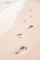 Footprints in the sand on the beach photo