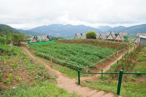 cabañas en una granja en tailandia foto