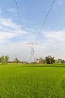 Líneas de transmisión de electricidad sobre campos de arroz. foto