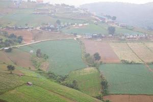 Farms in the mountains in Thailand photo