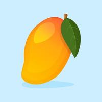 Mango Fruit Vector