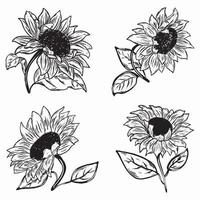 Set of sunflowers illustration vector