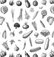 Vegetables collection pattern hand draw vintage style black and white isolated on white background vector