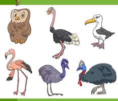 cartoon birds species animal characters set vector