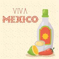 celebración viva mexico con botella de tequila vector