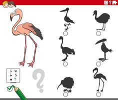 shadows task with cartoon flamingo animal character vector