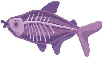 funny x-ray fish cartoon animal character vector