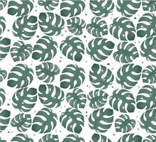 Watercolor monstera leaf seamless pattern background vector