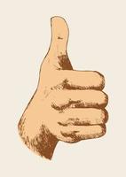 Thumb Up Sketch design vector