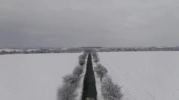 vista aérea de uma estrada em um campo de neve repleto de árvores em 4k video