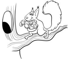 cartoon squirrel carrying acorns to the hollow coloring book page vector
