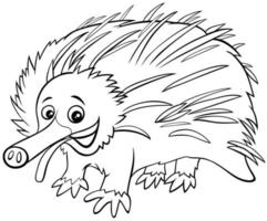 funny cartoon echidna animal coloring book page vector