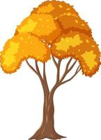 Árbol de otoño aislado sobre fondo blanco. vector