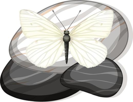 Top view of butterfly on a stone on white background