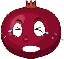 Pomegranate cartoon character with facial expression vector