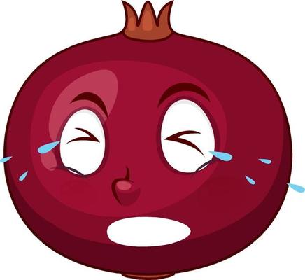 Pomegranate cartoon character with facial expression