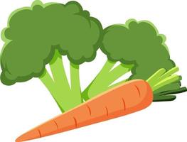 Broccoli and carrot vegetable on white background vector