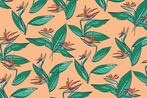 Pattern Composition Strelitzia Flower Bird of Paradise Hand Drawing vector