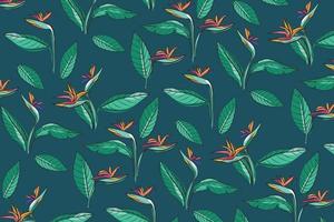 Pattern Strelitzia Reginae Flower Bird of Paradise Hand Drawing vector