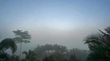 timelapse de brouillard ou arc-en-ciel blanc se produisant au-dessus de la brume video