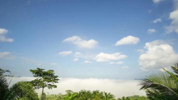 timelapse de nuages flottant au-dessus de la brume matinale video