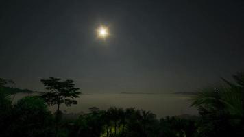 boven de zee van mist bij zonsopgang, de tijd vóór zonsopgang video