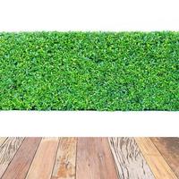Green hedge and wood table isolated photo