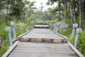 Walkway leading to the mountain photo