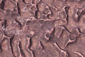 Rugged stone surface photo