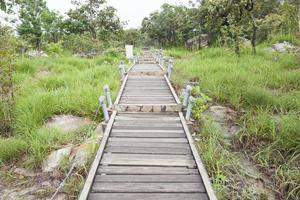Walkway leading to the mountain photo