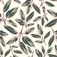 Beautiful calathea triostar leaves seamless pattern vector