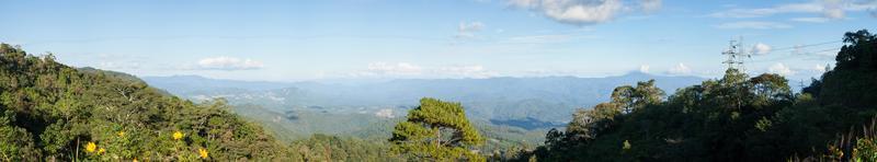 Forest panorama in Thailand photo