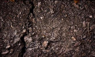 Close-up of soil for texture or background photo