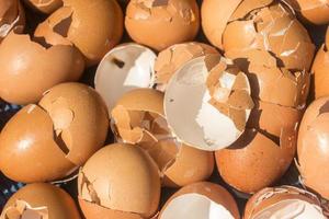 Close-up of broken eggshells for texture or background photo