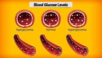 Medical blood glucose level vector