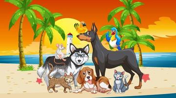 Escena al aire libre en la playa al atardecer con un grupo de mascotas vector