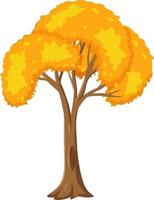 Árbol de otoño aislado sobre fondo blanco. vector