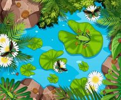 escena aérea con ranas y hojas de loto en el estanque vector