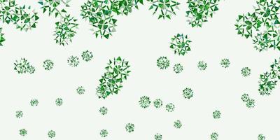 Light green vector layout with beautiful snowflakes.