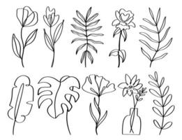 Set of contemporary one line hand drawn floral element vector