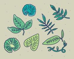 vector designer leaf elements set in hand drawn doodle style