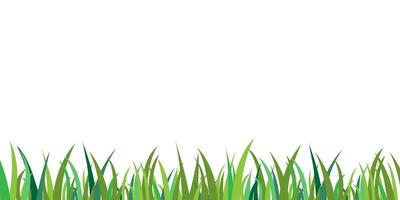 Green grass isolated background vector. Grass border frame decoration. Flat garden field vector