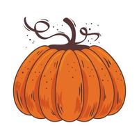 otoño calabaza fruta estacional icono aislado vector