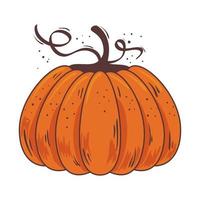 otoño calabaza fruta estacional icono aislado vector