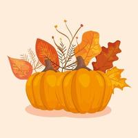 pumpkins with leafs of autumn vector