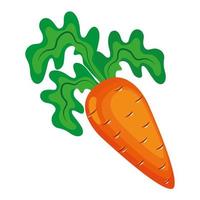 icono de comida sana vegetal de zanahoria fresca vector