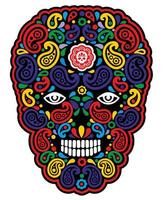 Skull with paisley design vector
